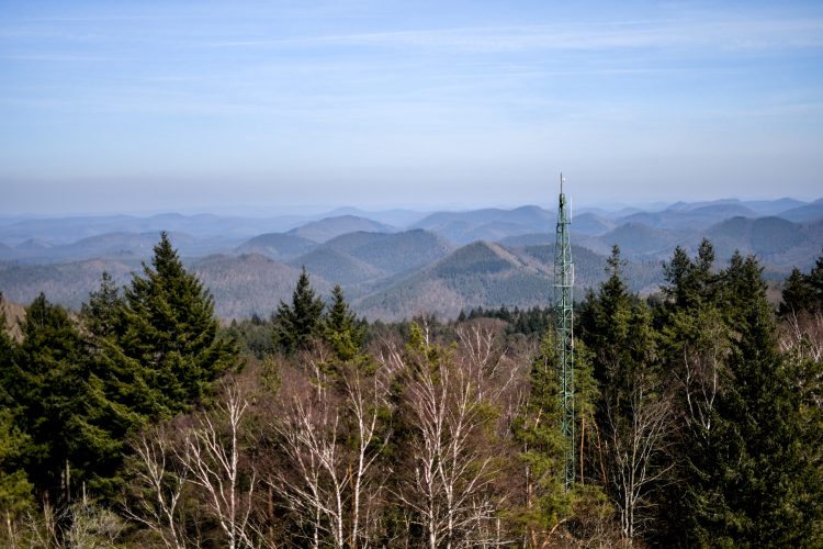 randonnee_grand_wintersberg-20