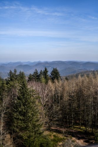 randonnee_grand_wintersberg-21