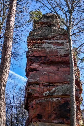 randonnee_grand_wintersberg-4