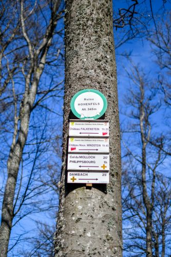 randonnee_grand_wintersberg-5