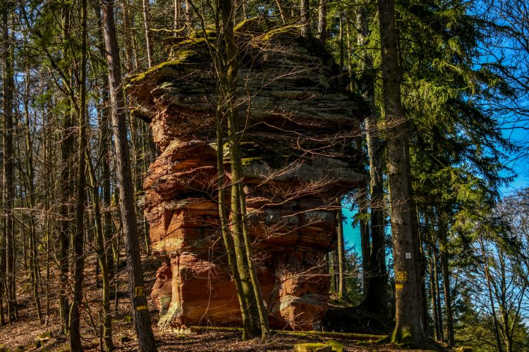 randonnee_grand_wintersberg-6