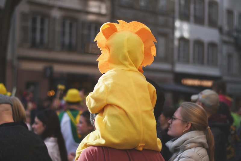 Carnaval (54) déguisement
