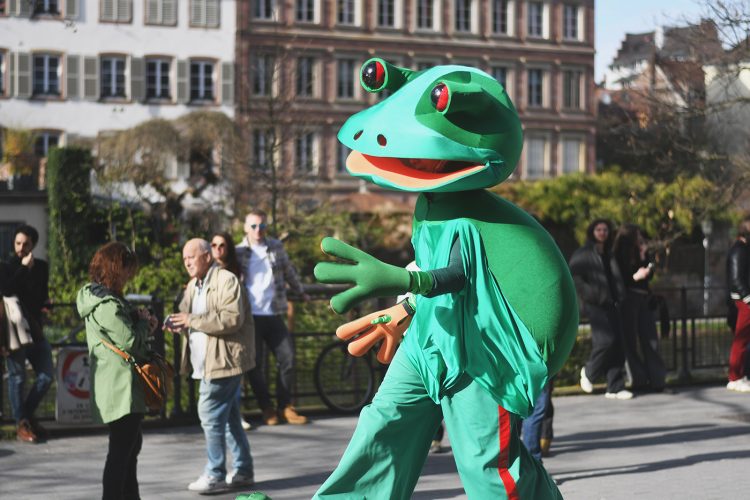 Carnaval (8) grenouille