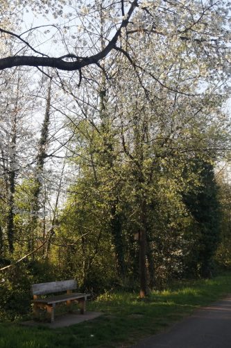 Canal_Bruche_Printemps_6