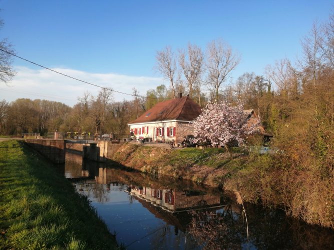 Canal_Bruche_Printemps_7