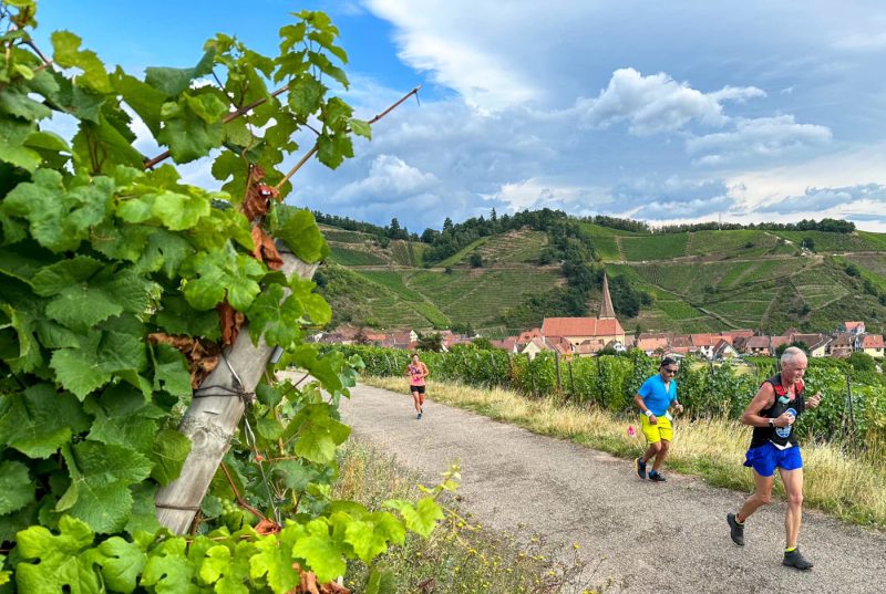 Run&rsquo;in FAV dans les vignes
