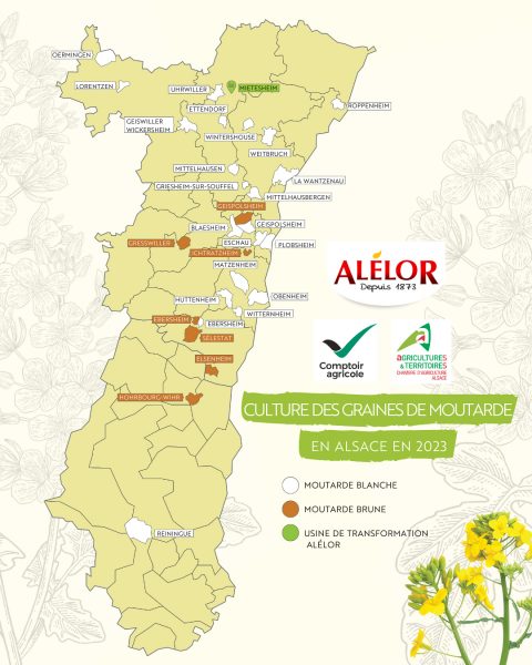Alélor moutarde alsace alimentation