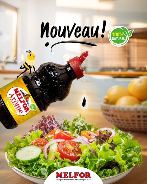 Arôme Melfor cuisine alsacienne Maggi