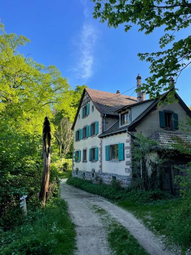Randonnee_chateau_du_landsberg_julia_wencker (13)