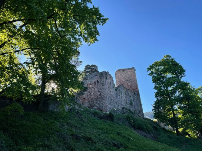 Randonnee_chateau_du_landsberg_julia_wencker (16)