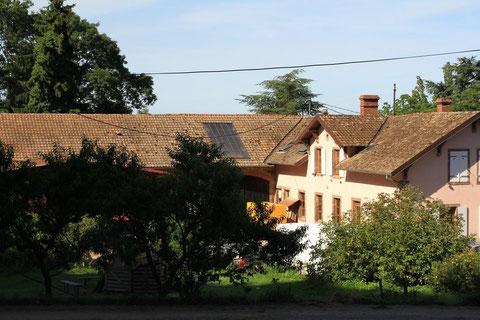 Randonnee_chateau_du_landsberg_julia_wencker (2)