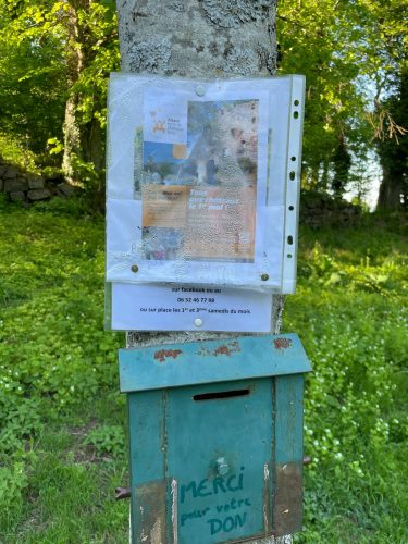 Randonnee_chateau_du_landsberg_julia_wencker (21)