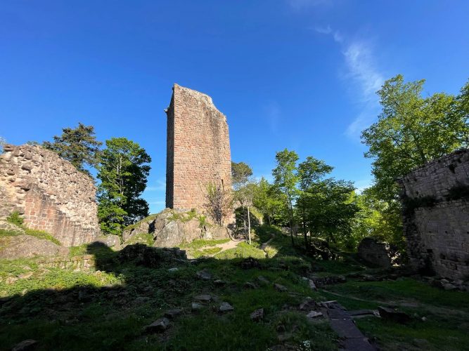 Randonnee_chateau_du_landsberg_julia_wencker (24)