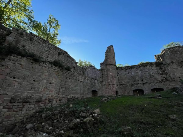 Randonnee_chateau_du_landsberg_julia_wencker (5)