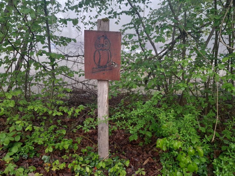 sentier du hibou la Wantzenau L&rsquo;Ill les berges le Rhin nature vert