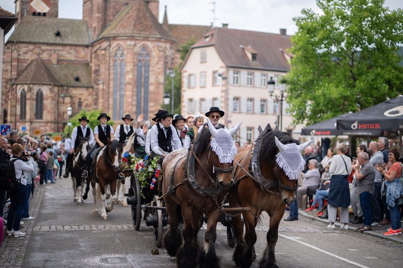 Pentecôte wissembourg costume traditionnel alsacien (6)