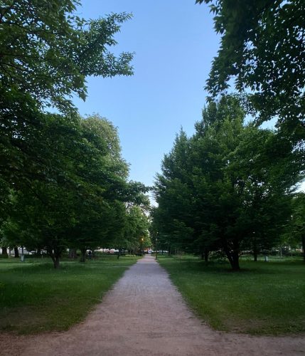 Square du Tivoli – Tomi Ungerer vue centrale