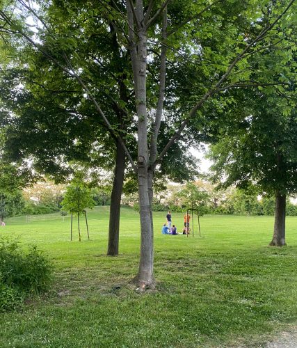 Parc de l&rsquo;Aar personnes assises dans l&rsquo;herbe