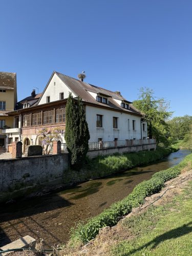 Mossig vignoble office du tourisme vins vingerons plaine IMG_4757 3
