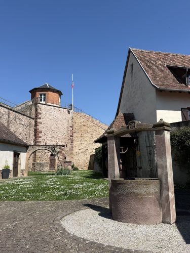 Mossig vignoble office du tourisme vins vingerons plaine IMG_4916