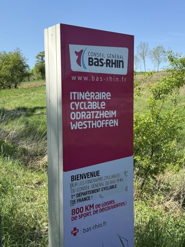 Mossig vignoble office du tourisme vins vingerons plaine IMG_4979