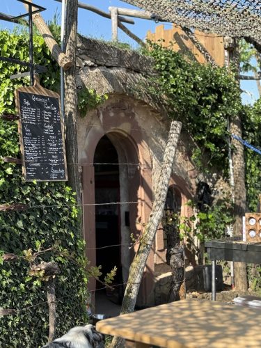 Mossig vignoble office du tourisme vins vingerons plaine IMG_5083