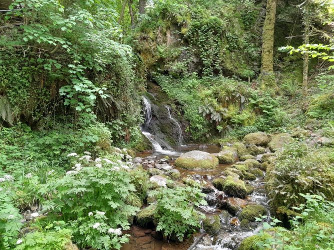 Cascade roche aux bébés bubalafels