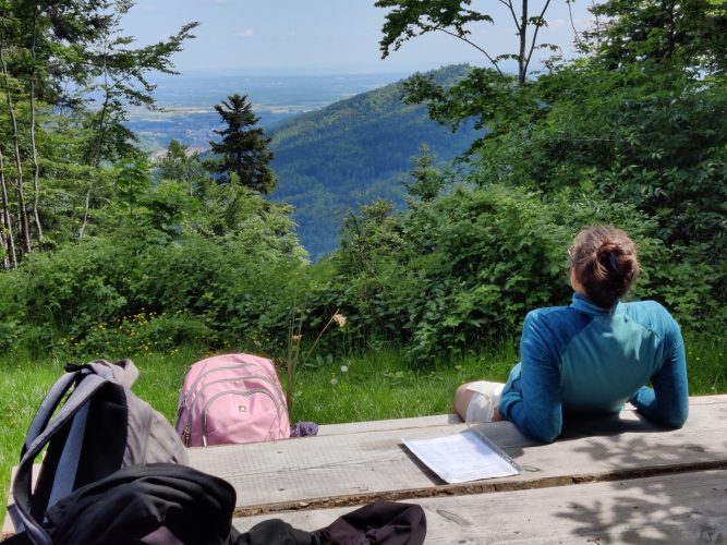 Dans la vallée forêt arbres balade pause moosch