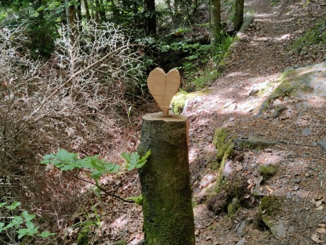 Moosch coeur forêt