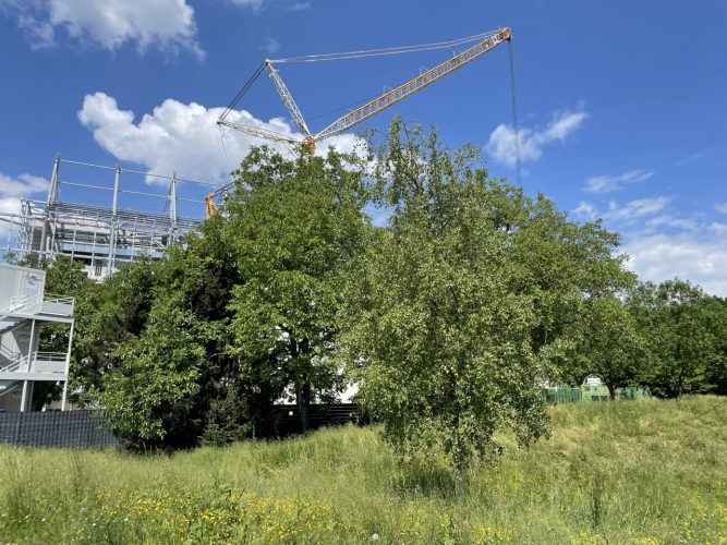 parc abords stade meinau