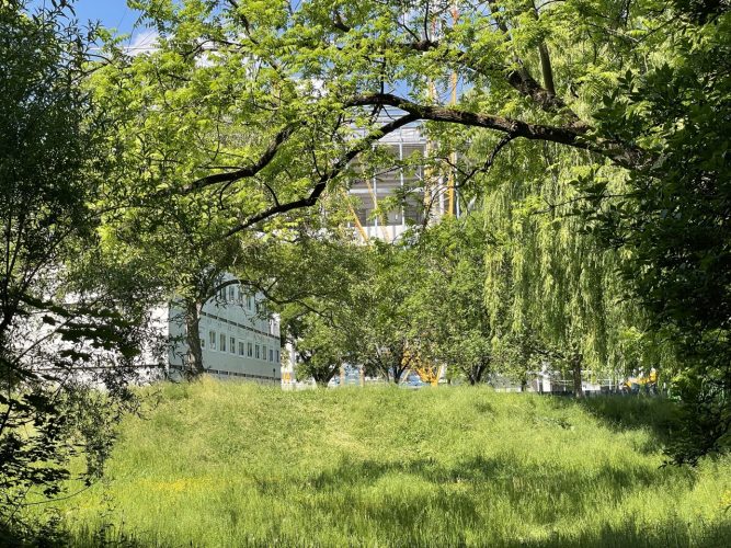 parc abords stade meinau