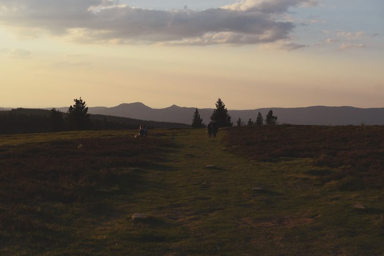 Champ du feu coucher de soleil (12)
