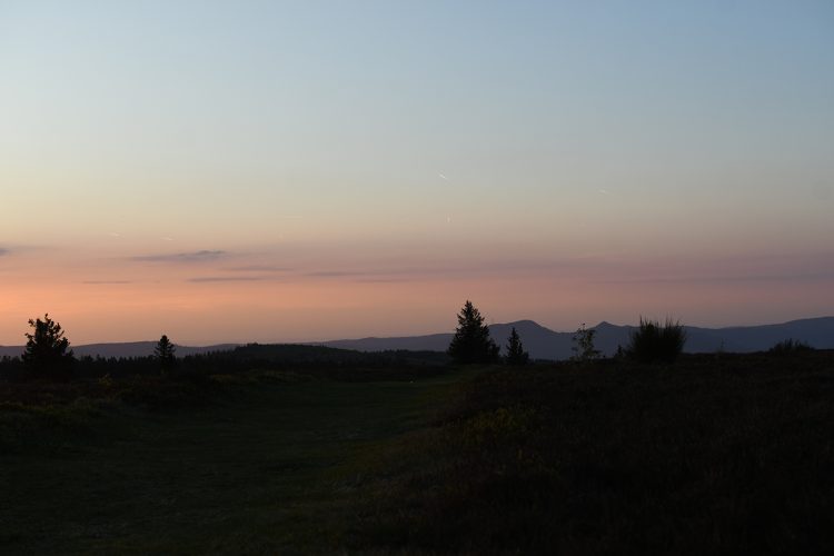 Champ du feu coucher de soleil (19)