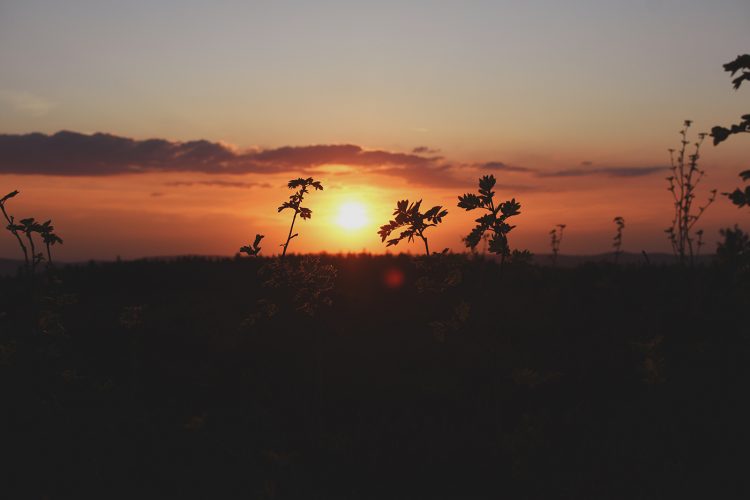 Champ du feu coucher de soleil (23)