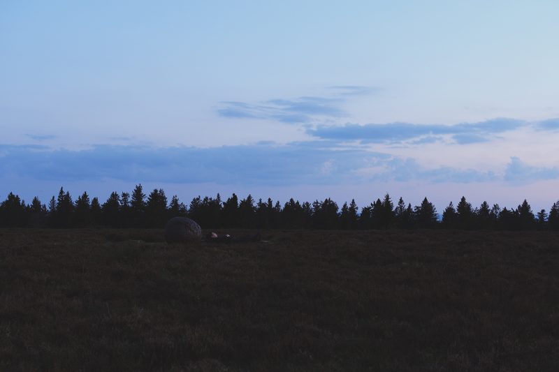 Champ du feu coucher de soleil (8)