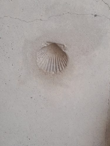 empreinte de coquille saint jacques dans le béton de la porte Ronchamp chapelle Le Corbusier