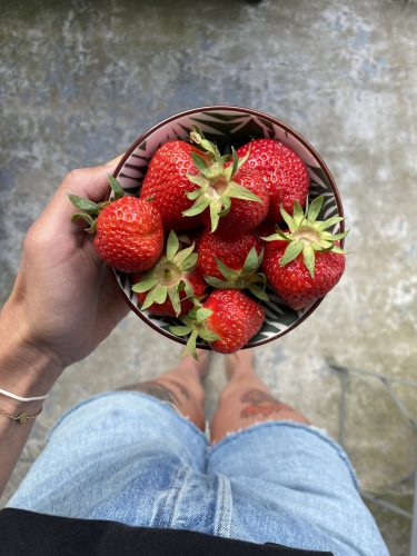 IMG_8122 fraises