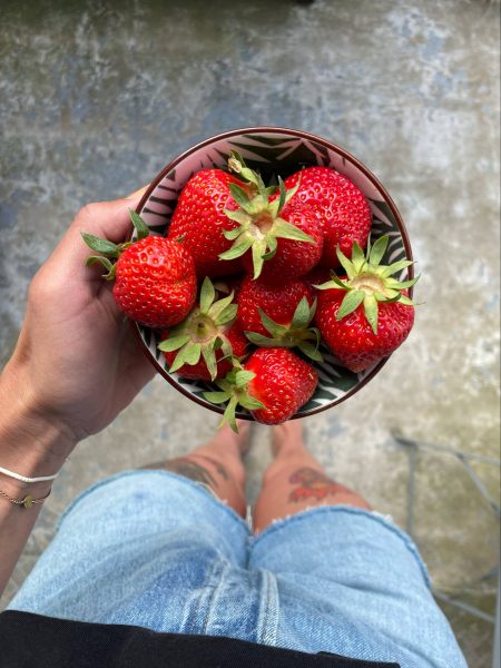 cuiellette de fraises ferme hermann (1)