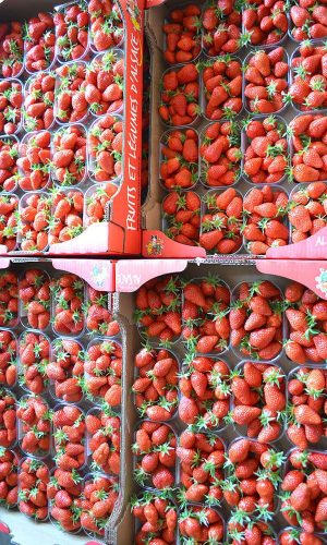 jardin des fraises nordhouse fruits et légumes d alsace