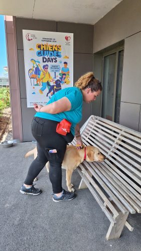 chiens guides Cernay