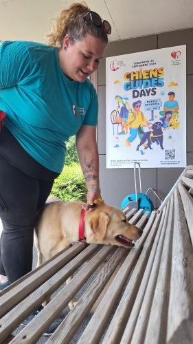 chiens guides Cernay