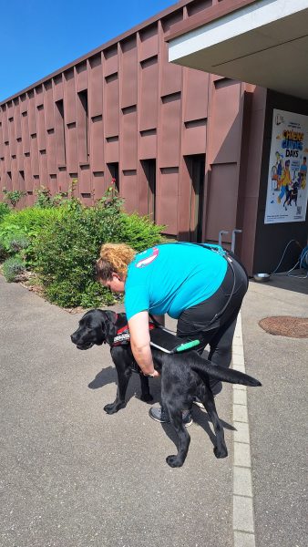 chiens guides Cernay