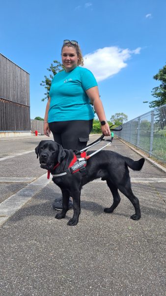 chiens guides Cernay