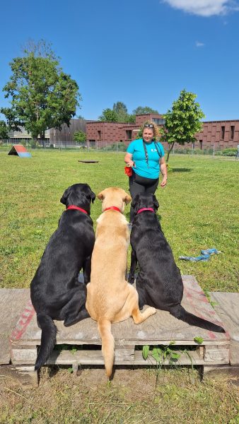 chiens guides Cernay