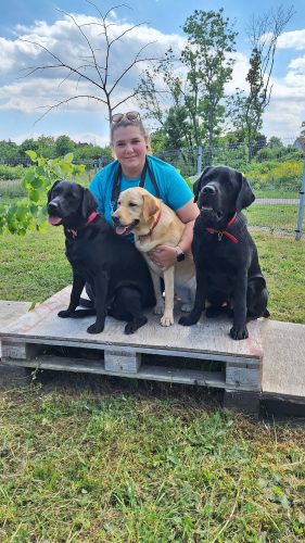 chiens guides Cernay