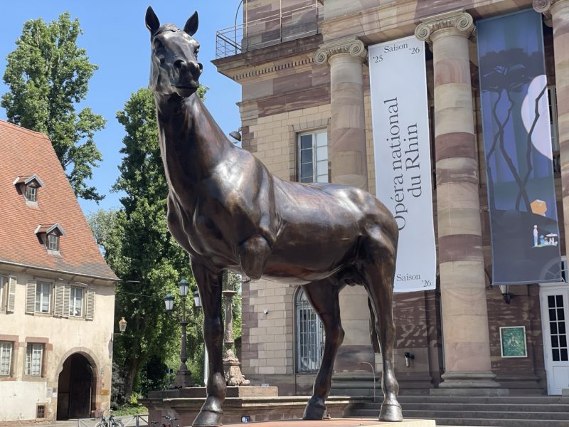 zieme cheval