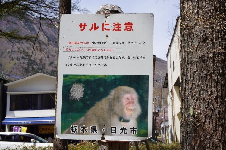 NIKKO JAPON