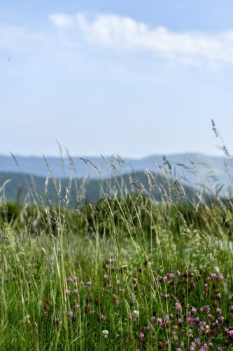 Refuge des trois fours (18)