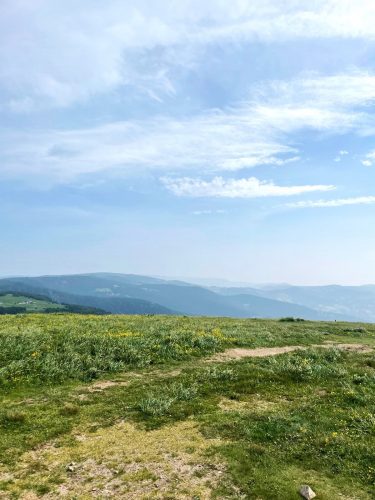 Vosges panorama