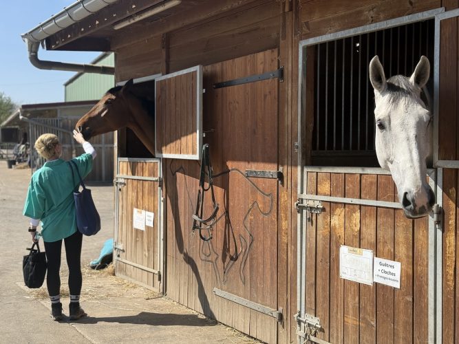 Cheval eckwersheim poney, course, écurieIMG_1494